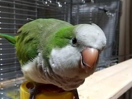めいちゃん めいちゃん