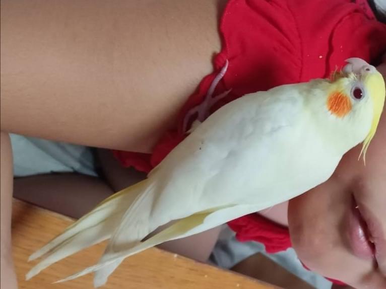 すずちゃん すずちゃん