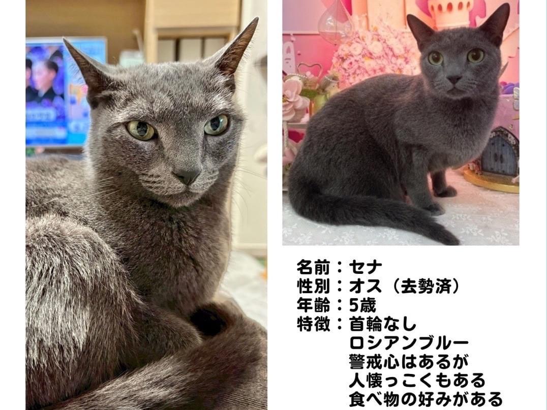 セナちゃん