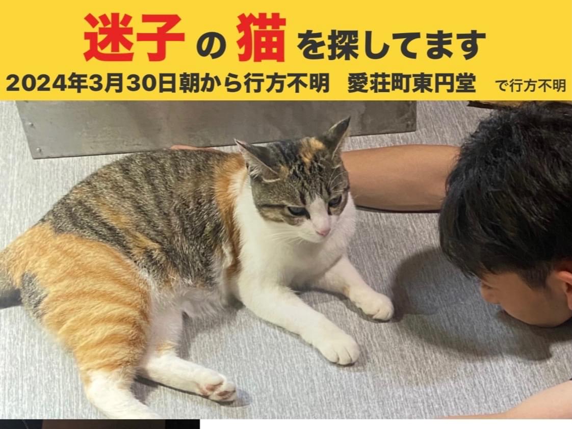 トキちゃん トキちゃん