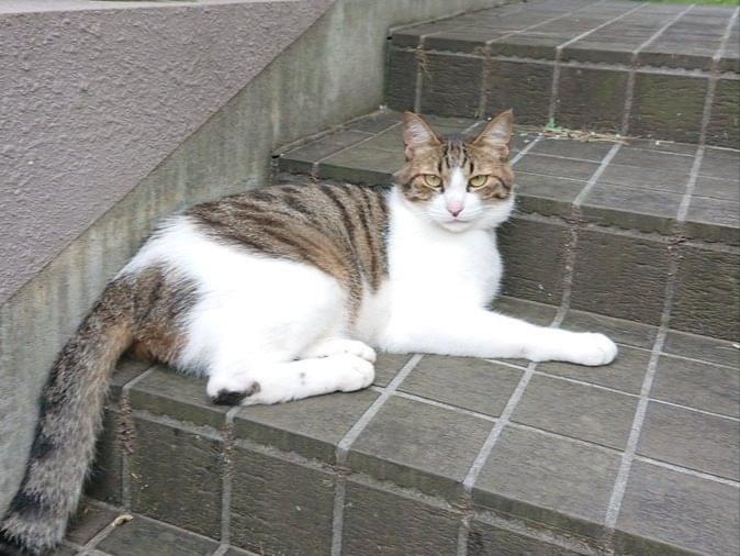 そらちゃん そらちゃん