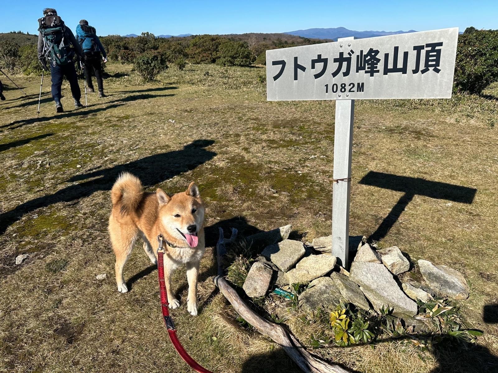 いっぺいちゃん