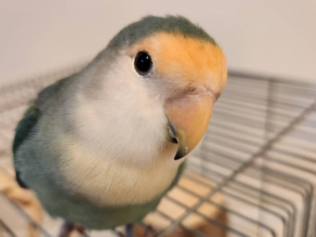 みっちゃん みっちゃん