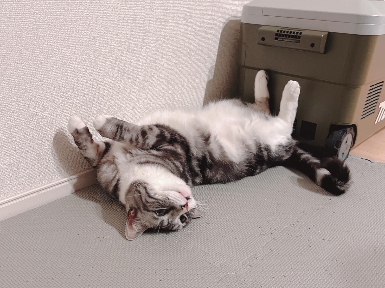 まさるちゃん まさるちゃん