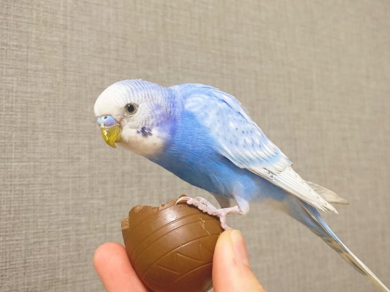 るなちゃん るなちゃん