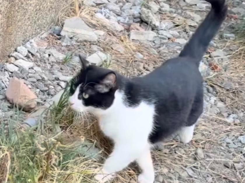 サラちゃん サラちゃん