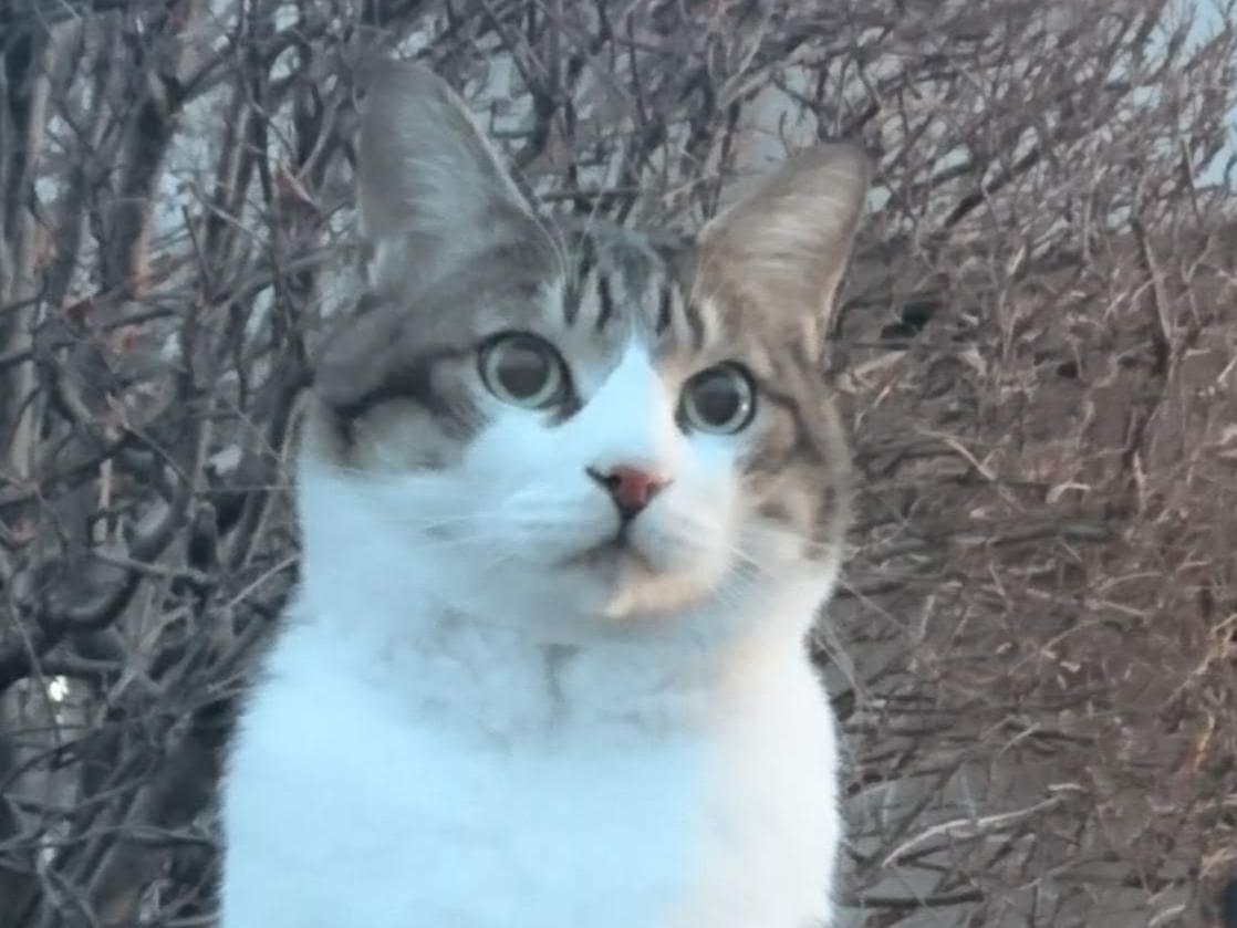 ネムちゃん ネムちゃん