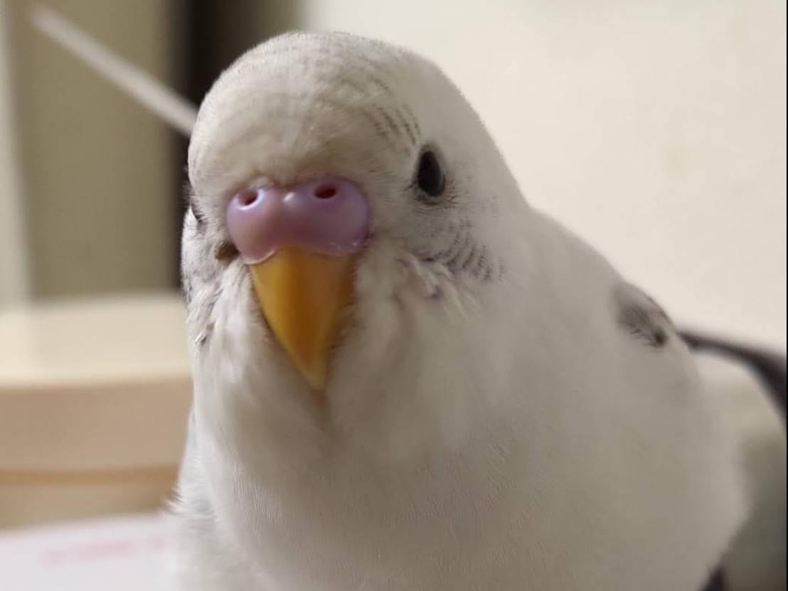 ユキちゃん ユキちゃん