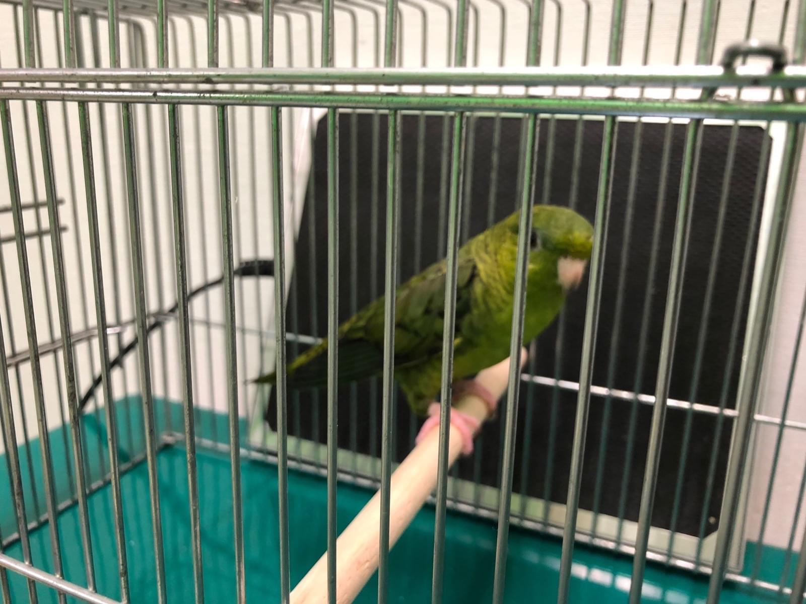 たけちゃん たけちゃん