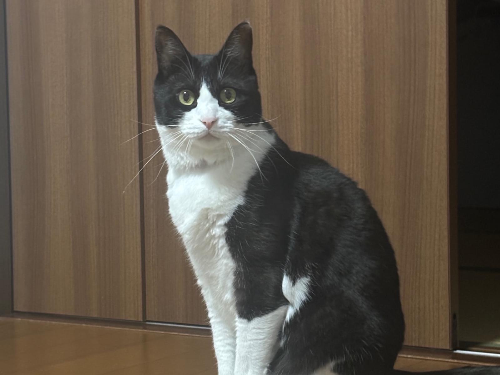 ソラ太ちゃん ソラ太ちゃん