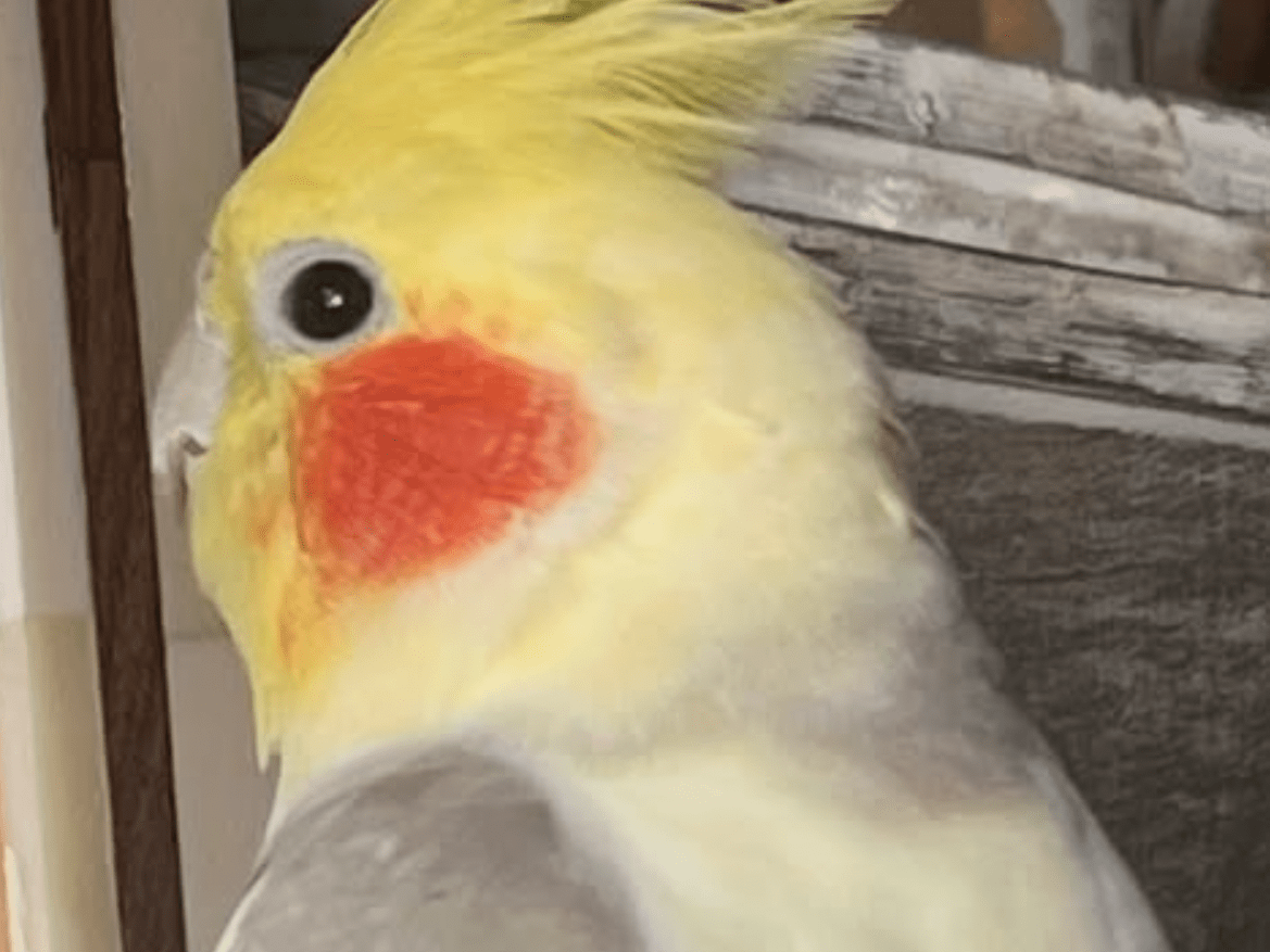 マルちゃん マルちゃん