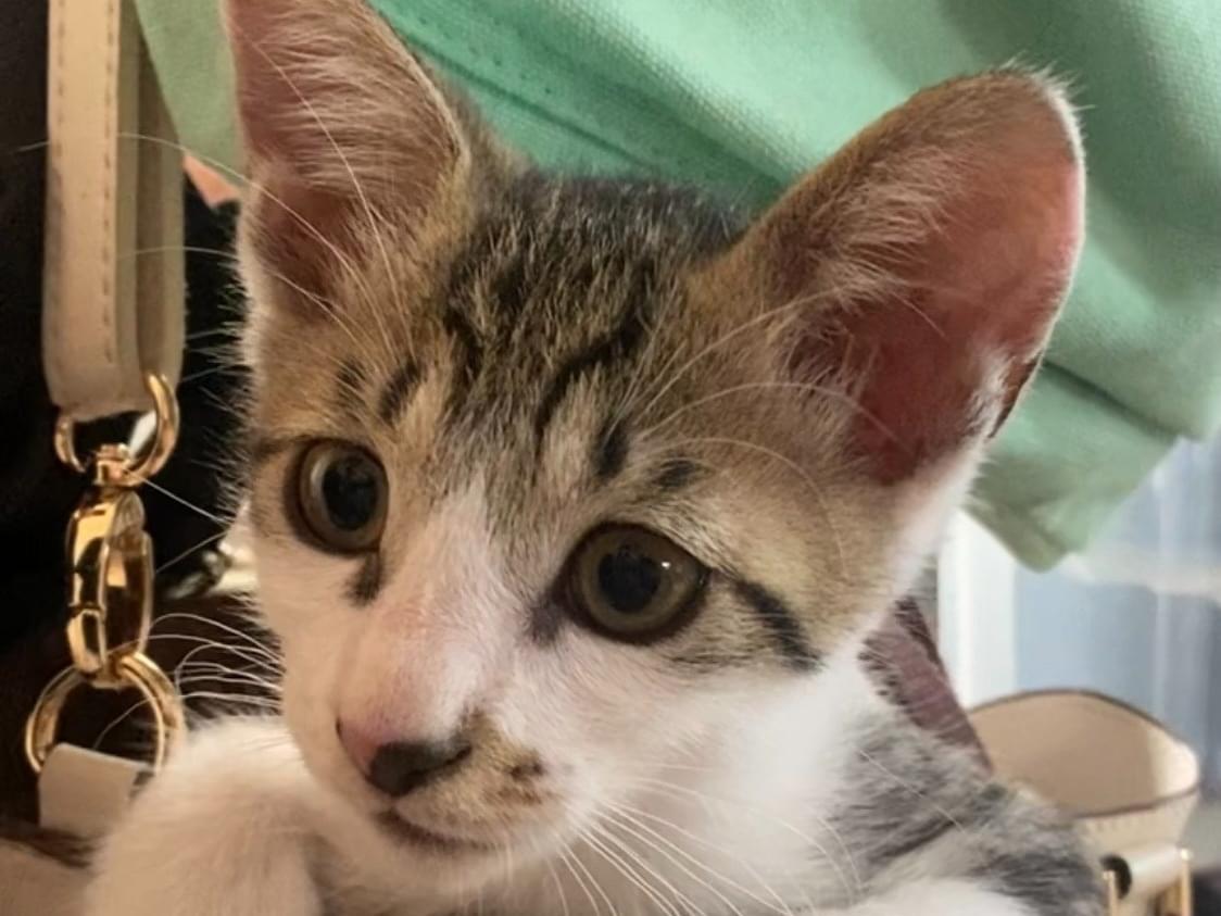 ミナトちゃん ミナトちゃん