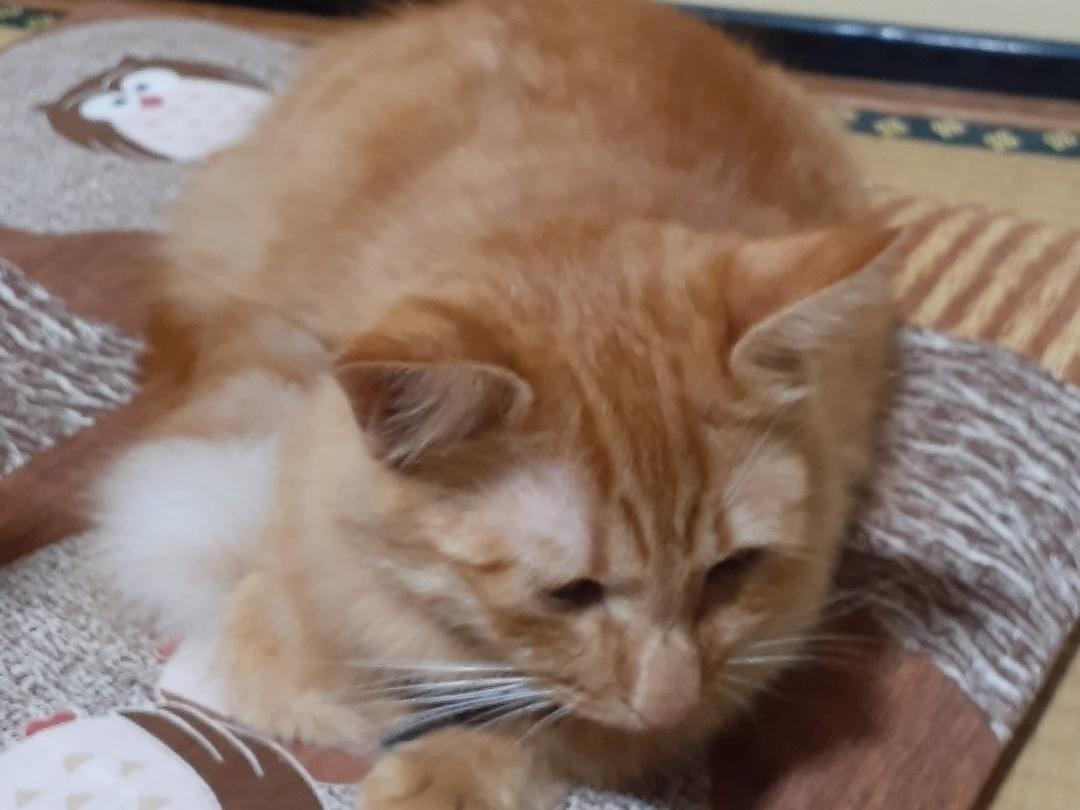 あかちゃん