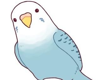 保護された鳥 保護された鳥