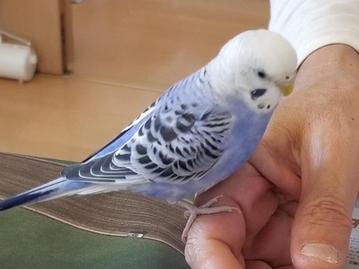そらちゃん そらちゃん