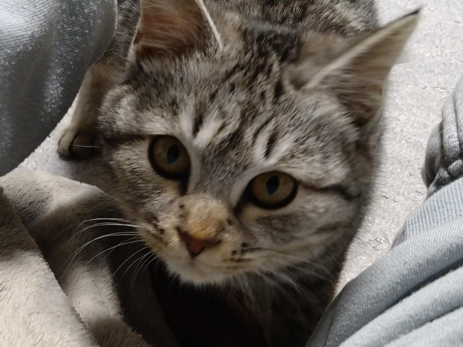 ぽたちゃん ぽたちゃん