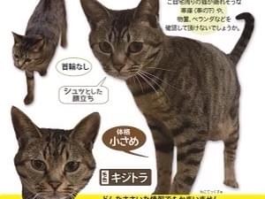 ゆずちゃん ゆずちゃん