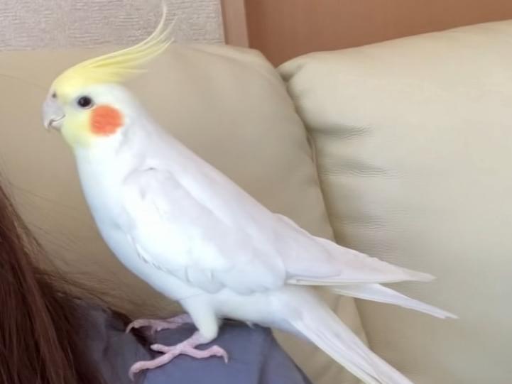 はるちゃん はるちゃん
