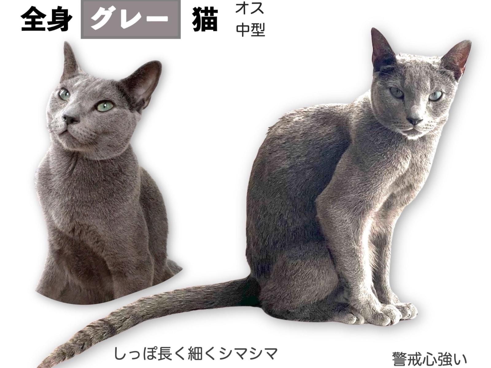 そらちゃん そらちゃん