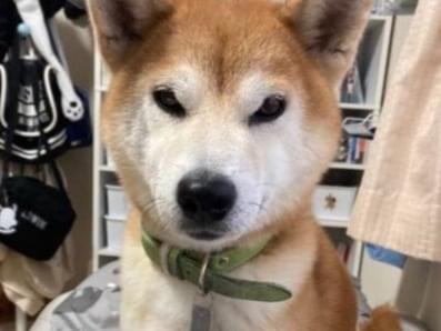 嵐太ちゃん 嵐太ちゃん