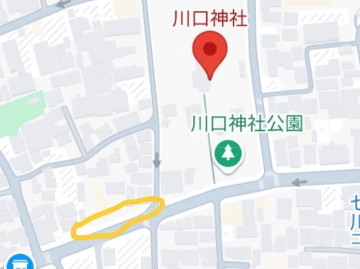 目撃された鳥 目撃された鳥
