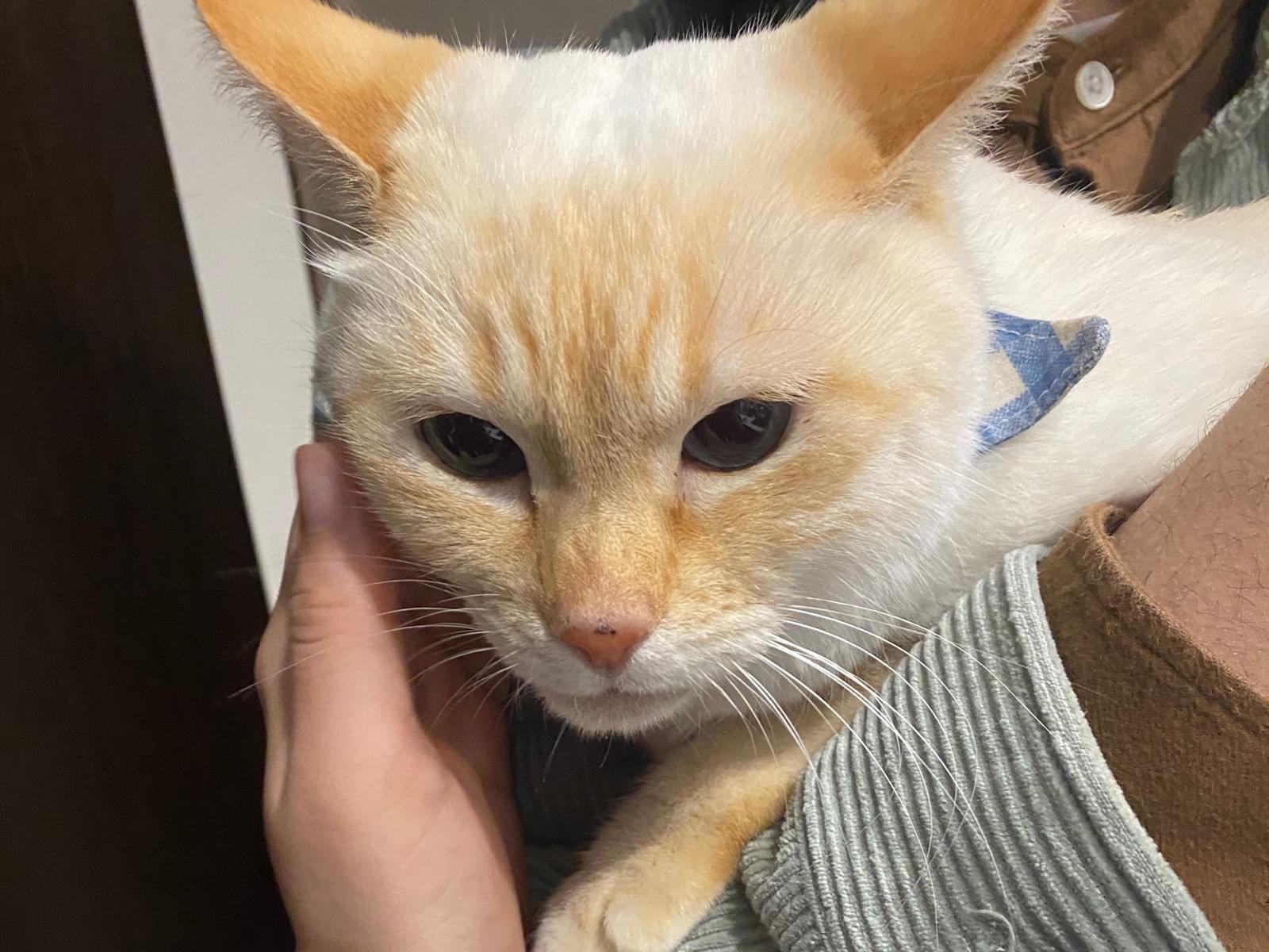 サンタちゃん サンタちゃん