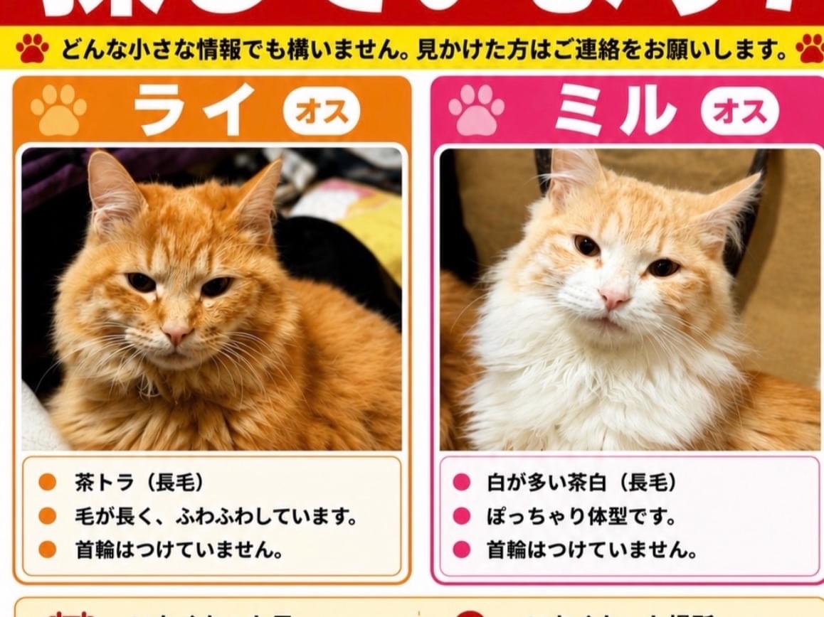 ミルとライちゃん ミルとライちゃん