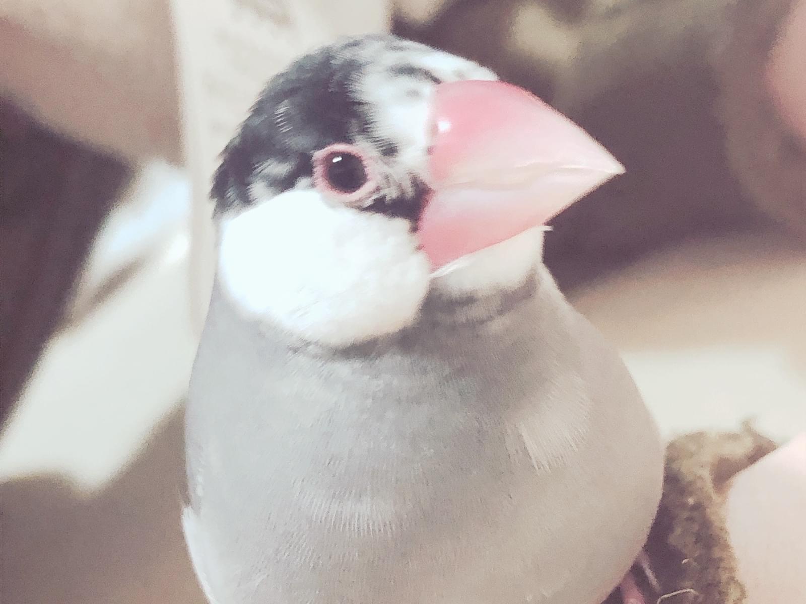 まきちゃん まきちゃん