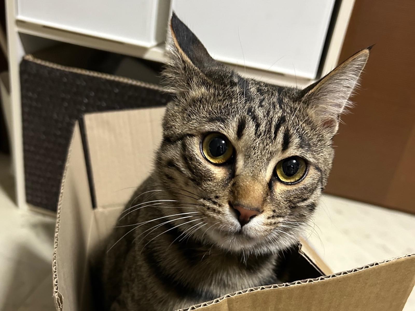 さくちゃん さくちゃん