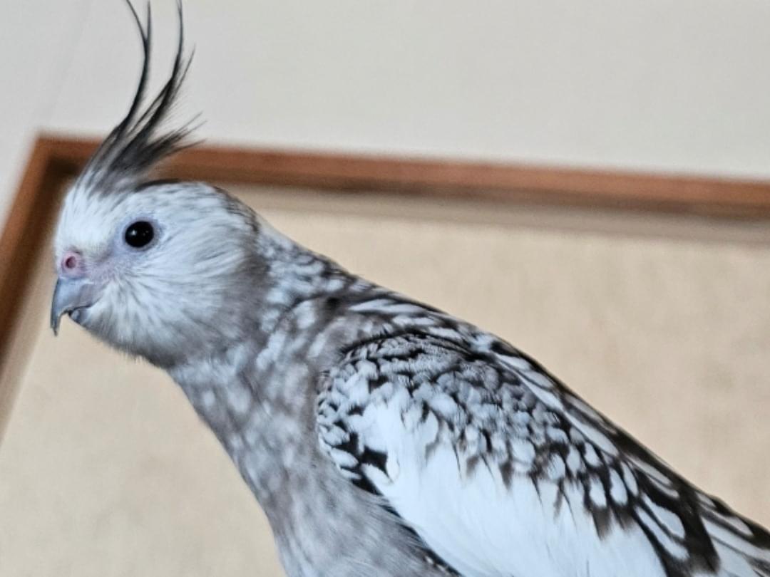 きゅうちゃん きゅうちゃん
