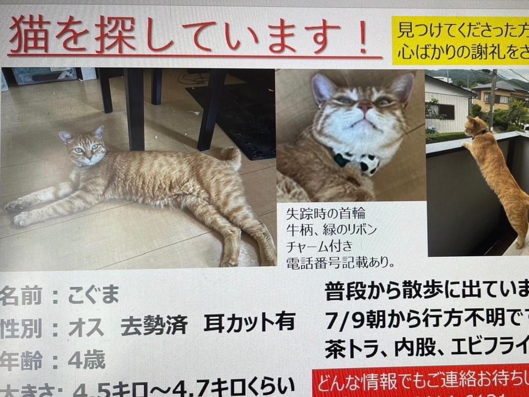 こぐまちゃん こぐまちゃん