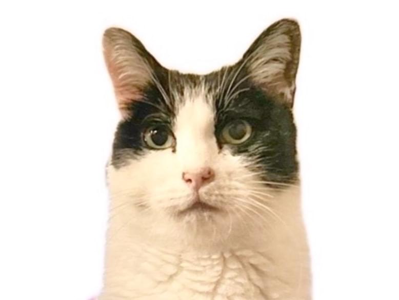 たまちゃん たまちゃん