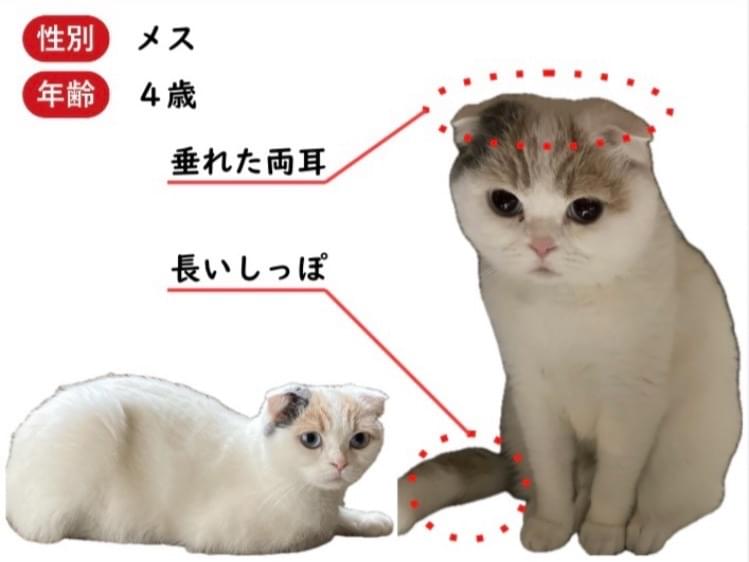 ペコちゃん ペコちゃん