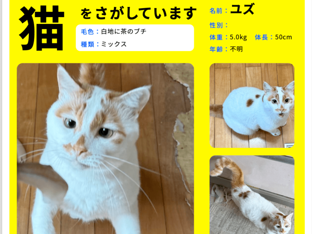 ユズちゃん ユズちゃん