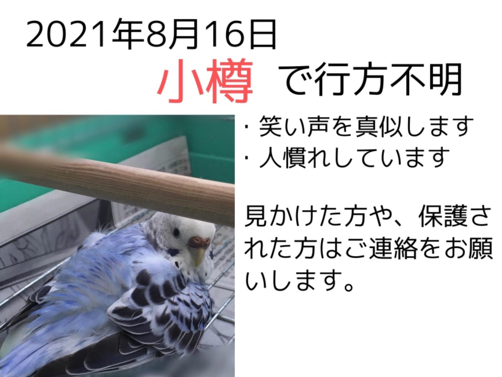 ひなちゃん ひなちゃん