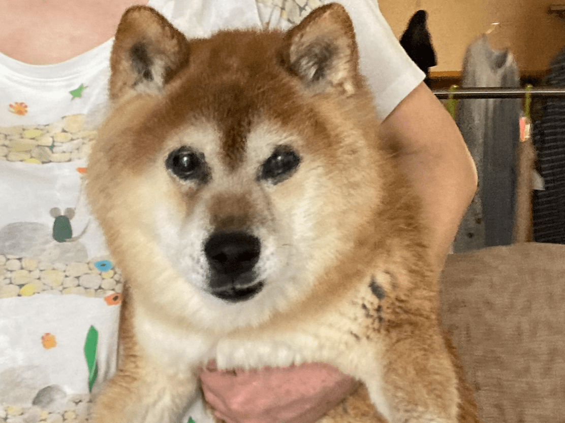 たまちゃん たまちゃん