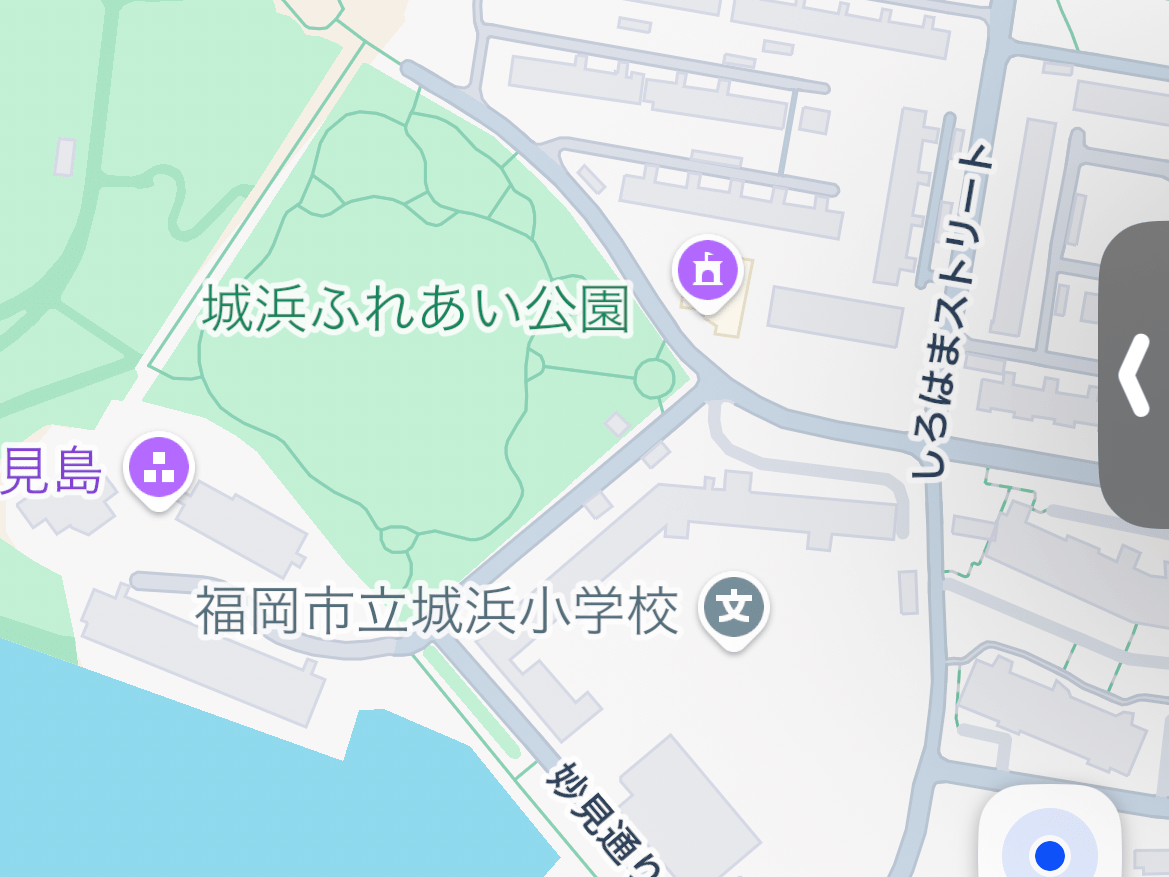 目撃された犬 目撃された犬