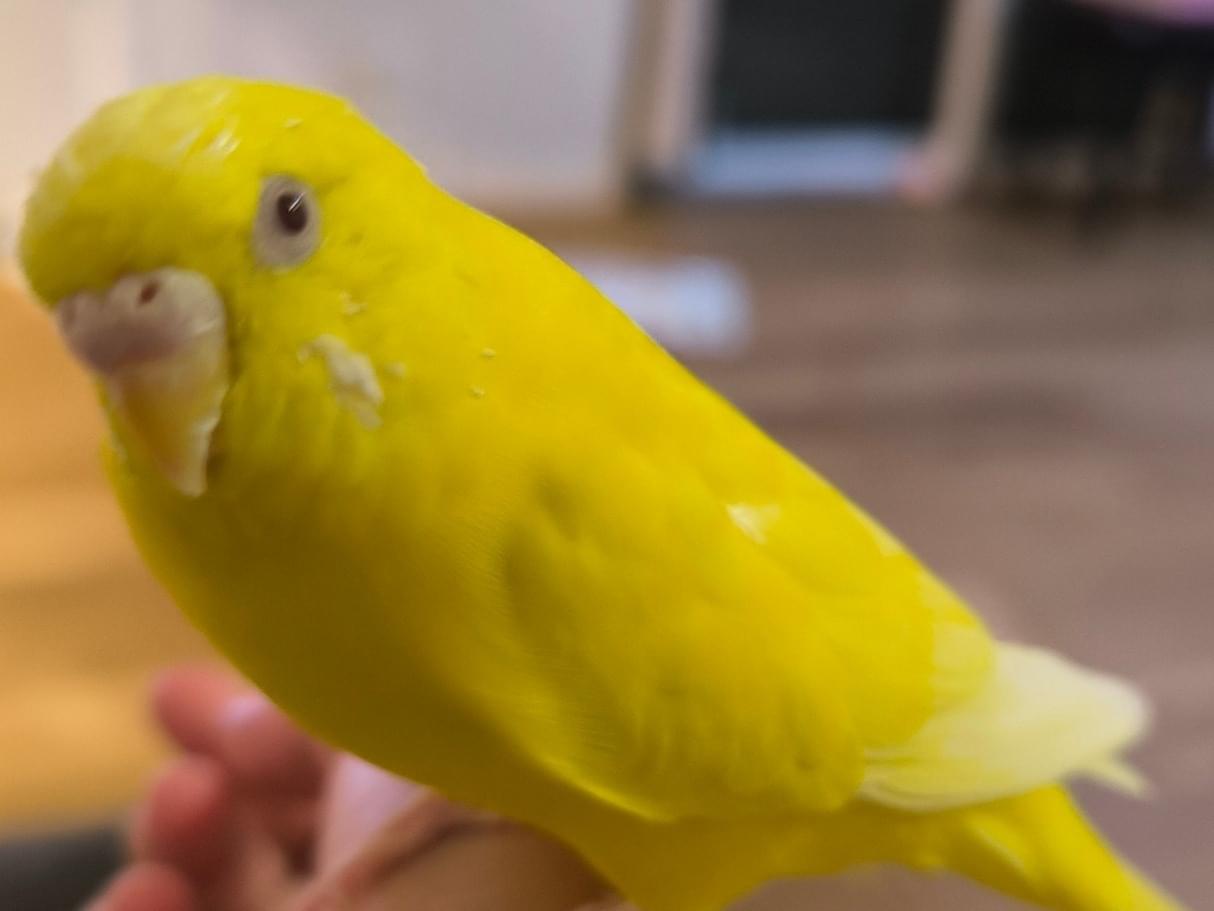 キキちゃん キキちゃん