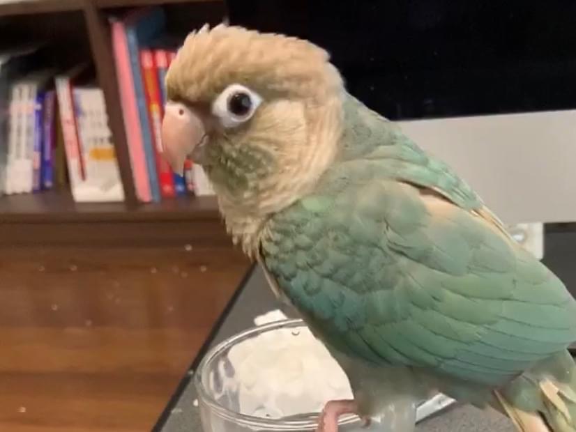 まるちゃん まるちゃん