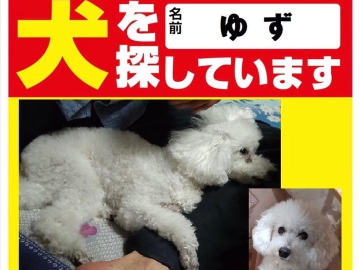 ゆずちゃん ゆずちゃん