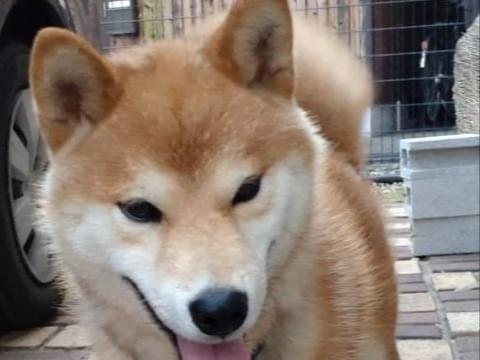 タローちゃん タローちゃん
