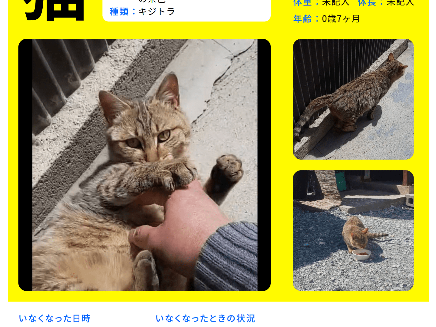 きなこちゃん きなこちゃん