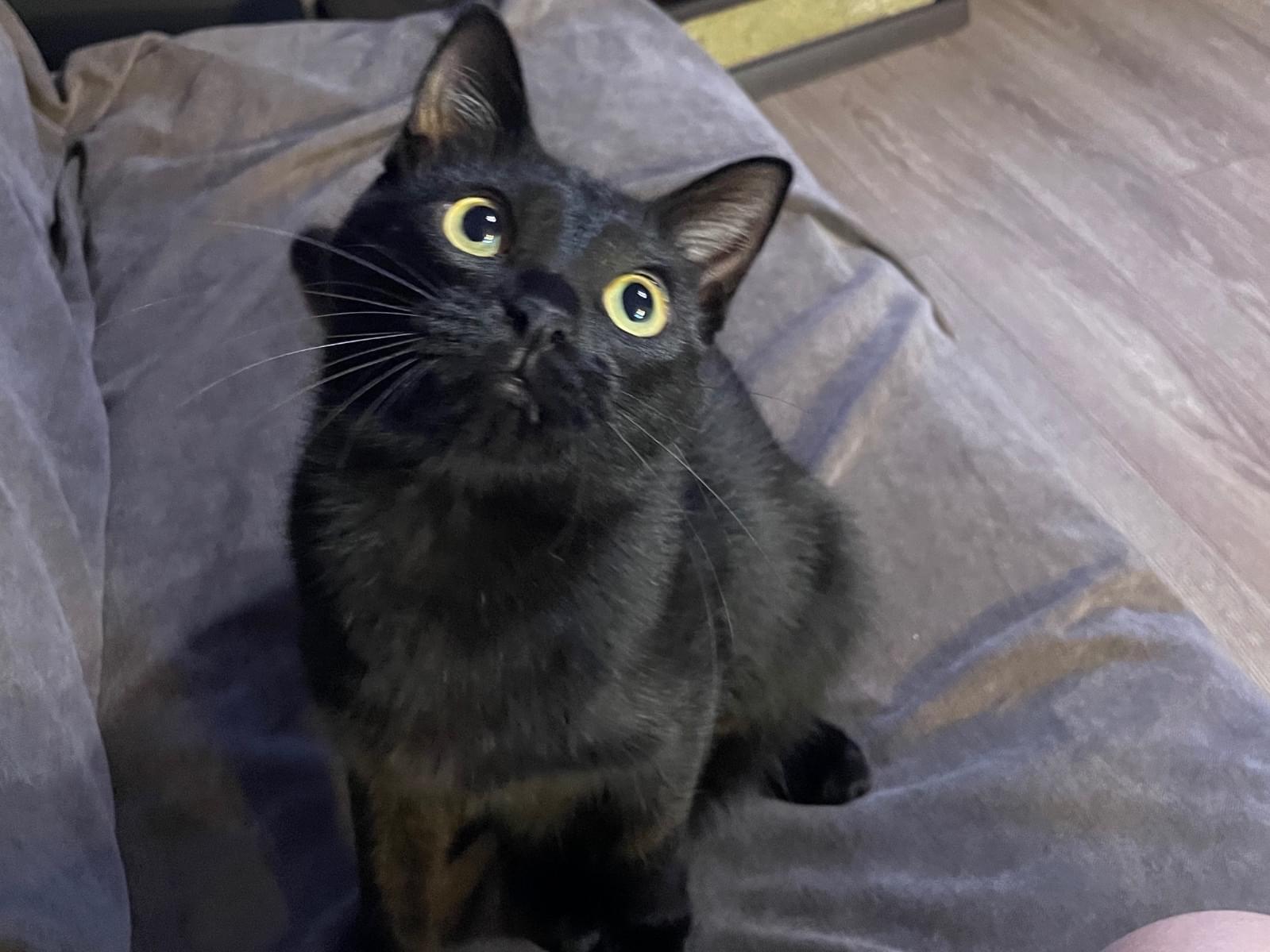 コジちゃん コジちゃん