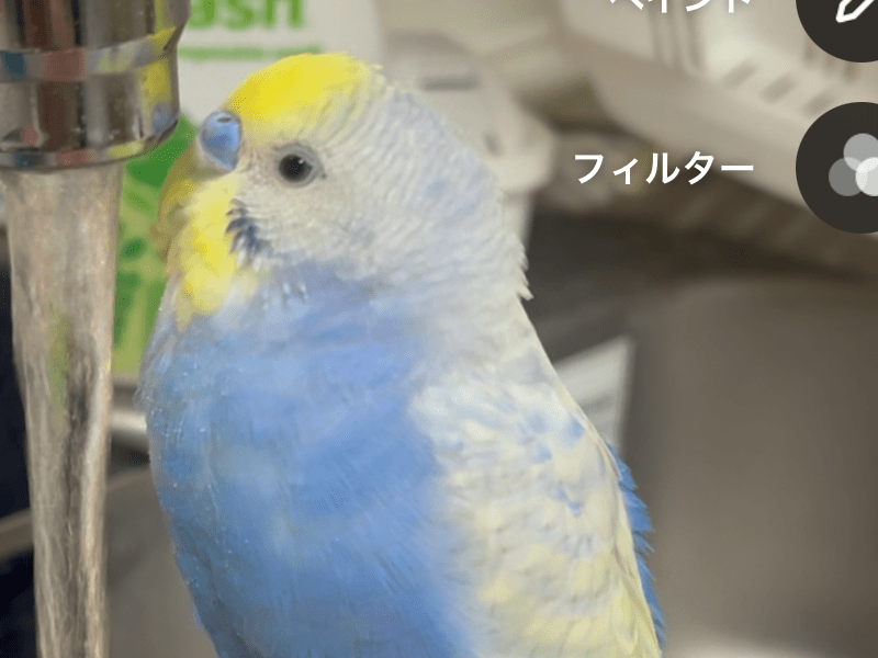 空太ちゃん 空太ちゃん