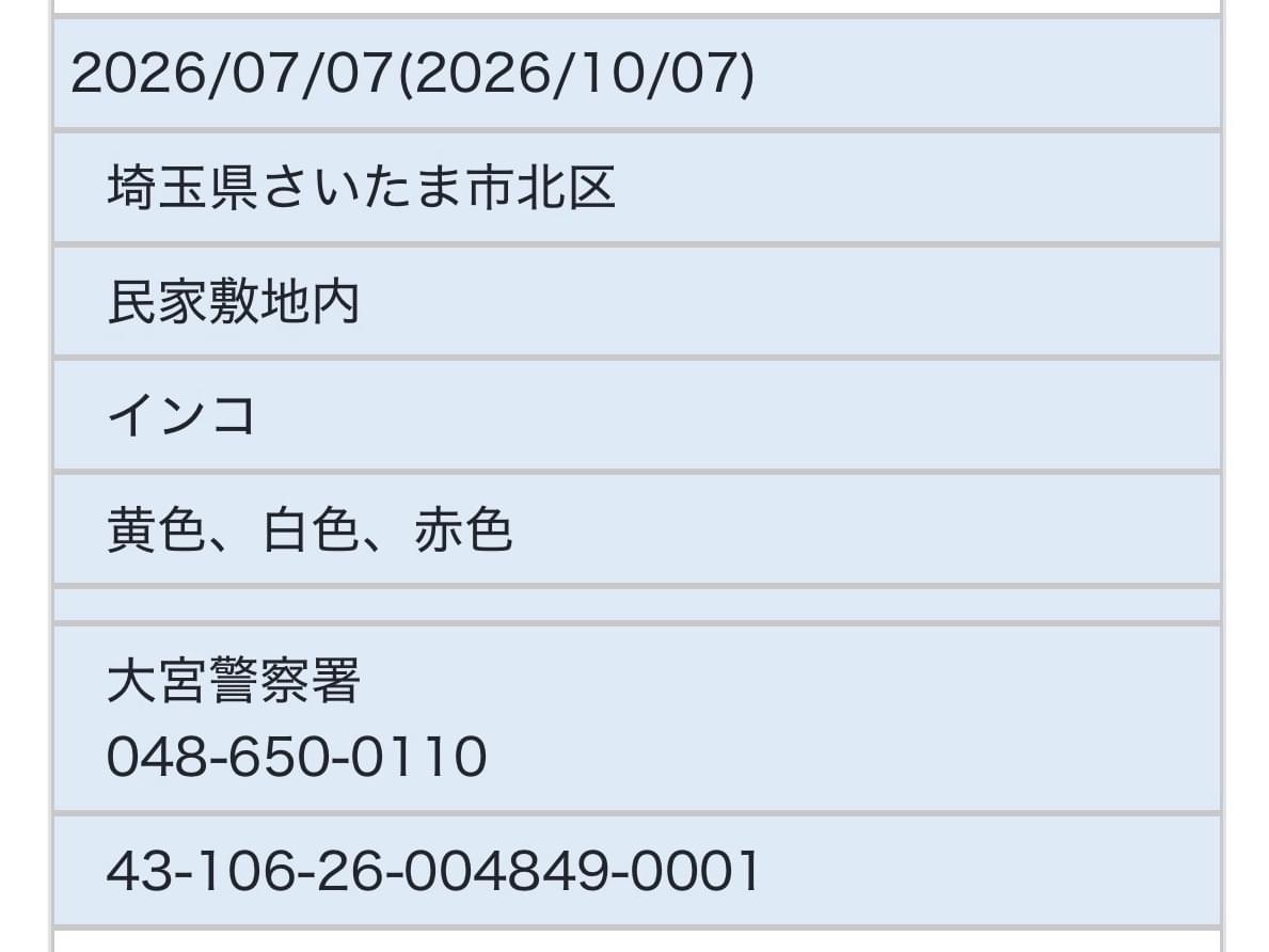 保護された鳥 保護された鳥