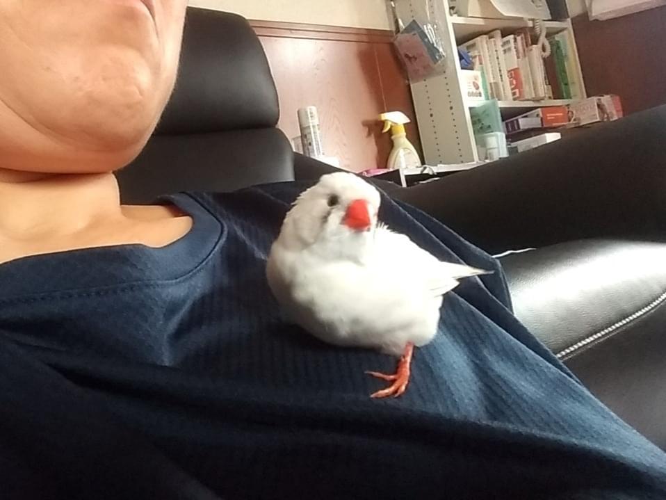 くーちゃん くーちゃん