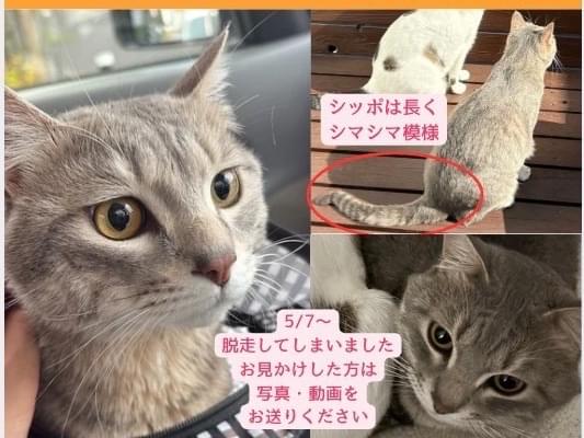 ムムちゃん