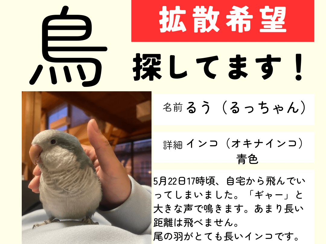 るうちゃん