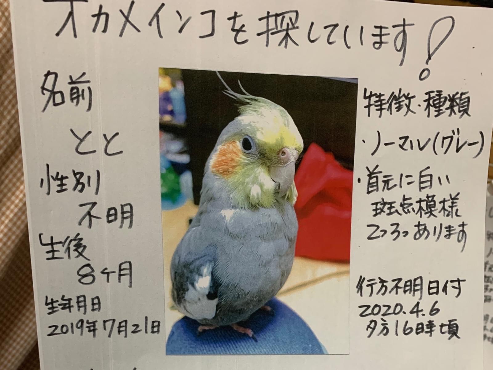 ととちゃん ととちゃん
