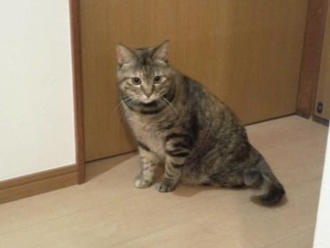 みーちゃん みーちゃん